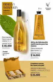 Catálogo Natura Página 216