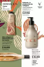 Catálogo Natura Página 223