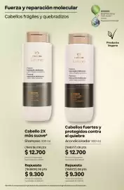 Catálogo Natura Página 265