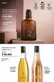 Catálogo Natura Página 99
