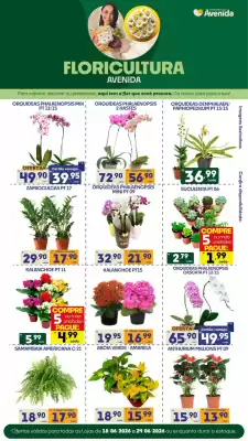Catálogo Supermercados Avenida (válido até 24-06)