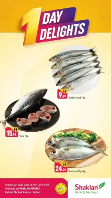 Shaklan (valid until 18-06)