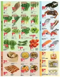 Terra Foodmart flyer week 25 Page 3