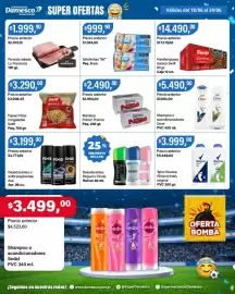 Catálogo Supermercados Damesco semana 25 Página 8