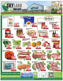 Skyland Foodmart flyer week 25 Page 1