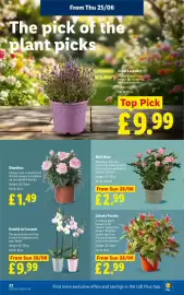 Lidl leaflet week 26 Page 24