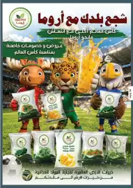 Ajman Market catalogue week 25 Page 10