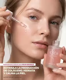 Catálogo Cristian Lay Página 64