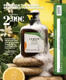 Catálogo Cristian Lay Página 88