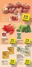 Albert Heijn folder week 26 Pagina 9