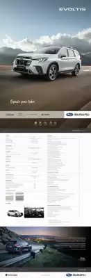 Subaru (válido hasta 31-12)