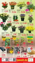 Wiglo Wunderland Prospekt woche 26 Seite 12