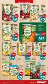 PENNY Prospekt woche 26 Seite 13