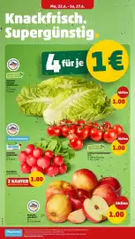 PENNY Prospekt woche 26 Seite 2