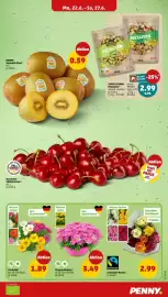 PENNY Prospekt woche 26 Seite 3