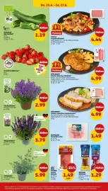 PENNY Prospekt woche 26 Seite 30
