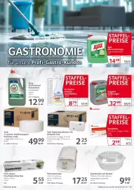 Selgros Prospekt woche 26 Seite 19