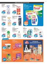 V Markt Prospekt woche 26 Seite 11