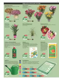 V Markt Prospekt woche 26 Seite 18