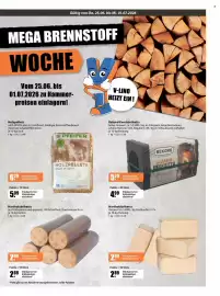 V Markt Prospekt woche 26 Seite 19