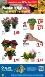 Folheto Lidl semana 26 Página 42