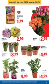 Folheto Lidl semana 26 Página 43