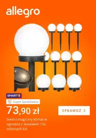 Allegro gazetka tydzień 25 Strona 3