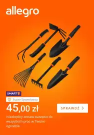Allegro gazetka tydzień 25 Strona 4