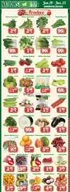 Nations Fresh Foods flyer week 25 Page 3