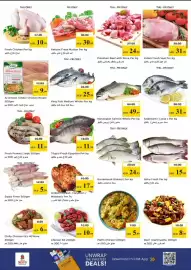 Nesto catalogue Page 16