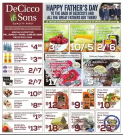 DeCicco & Sons weekly ad week 25 Page 1