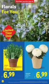 Lidl weekly ad week 26 Page 30