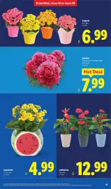 Lidl weekly ad week 26 Page 31