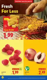 Lidl weekly ad week 26 Page 4