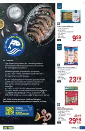 Metro Flugblatt Seite 17