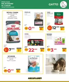 Volantino Arcaplanet Pagina 11