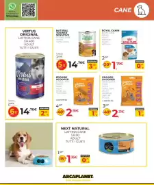 Volantino Arcaplanet Pagina 19