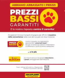 Volantino Arcaplanet Pagina 38