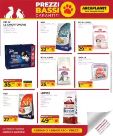 Volantino Arcaplanet Pagina 39