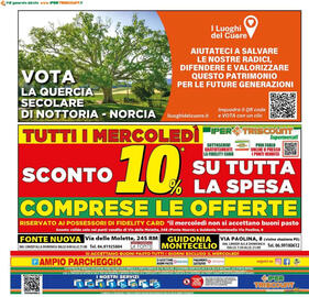 Volantino Iper Triscount Pagina 20