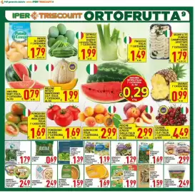 Volantino Iper Triscount Pagina 9