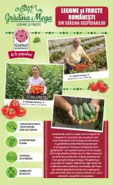 Catalog Mega Image săptămâna 26 Pagină 11