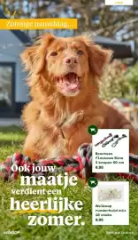 Welkoop folder Pagina 16