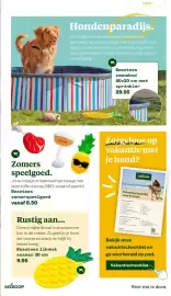 Welkoop folder Pagina 17