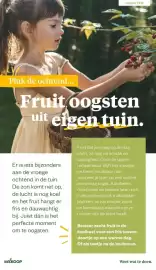 Welkoop folder Pagina 4