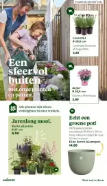Welkoop folder Pagina 8