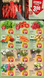 Rewe DE folder week 25 Pagina 11