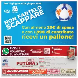 Volantino Futura Supermercati Pagina 27