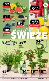Netto gazetka tydzień 26 Strona 7