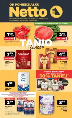 Netto gazetka